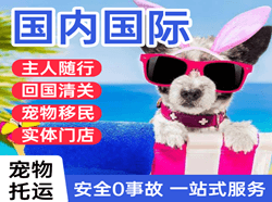 大连周水子航空快运国际宠物托运 【国